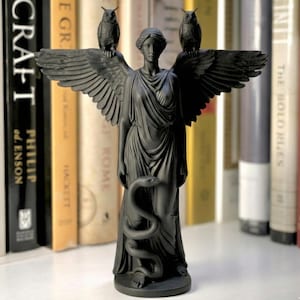 May include: A black statue of a winged figure with two owls perched on the outstretched wings. A snake is coiled at the figure's feet. The statue is set against a backdrop of books.