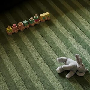 Pu&ograve; includere: Un trenino giocattolo in legno con blocchi colorati e un coniglietto di peluche grigio su un tappeto verde a righe. Il treno ha una locomotiva gialla, vagoni rosa, verdi e marroni. Il coniglietto &egrave; sdraiato su un fianco.