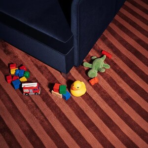 Pu&ograve; includere: Una collezione di giocattoli per bambini sparsi su un tappeto a righe. I giocattoli includono un camion dei pompieri rosso, una papera di gomma gialla, una rana di peluche verde e blocchi colorati. Un divano blu navy &egrave; sullo sfondo.