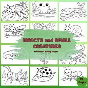 Può includere: Una raccolta di pagine da colorare stampabili con insetti e piccole creature. Le pagine includono illustrazioni di uno scarabeo, una rana, un verme, una libellula, una farfalla, una lumaca, una lucertola, uno scorpione, una cavalletta, una coccinella e una formica.