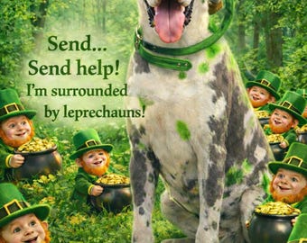 Lucky Paws St Patrick’s Day, Great Dane with Leprechaun on Head, Shamrock Forest Scene, Funny Irish Dog Greeting, Digital Download