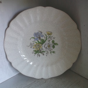 Royal Doulton SUTHERLAND Dinner Plate 10 1/4&quot; England English Dinnerware