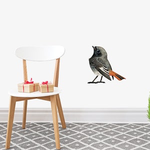 以下が含まれることがあります： 白い壁に、赤い尾を持つ黒と灰色の鳥がとまっている。鳥は上を見ている。手前にある白い椅子の上に、包まれたプレゼントが2つ置かれている。