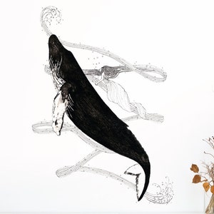Whale Wall Sticker Decal | Illustration Wall Stickers, Animals Wall Stickers, Wall Decals, Home Decor, Wall Art, Illustrations