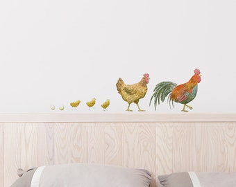 May include: A set of wall decals featuring a rooster, hen, and chicks. The rooster is red, orange, and blue, while the hen is brown and yellow. The chicks are yellow. The decals are arranged in a line, with the rooster at the end and the chicks at the beginning.