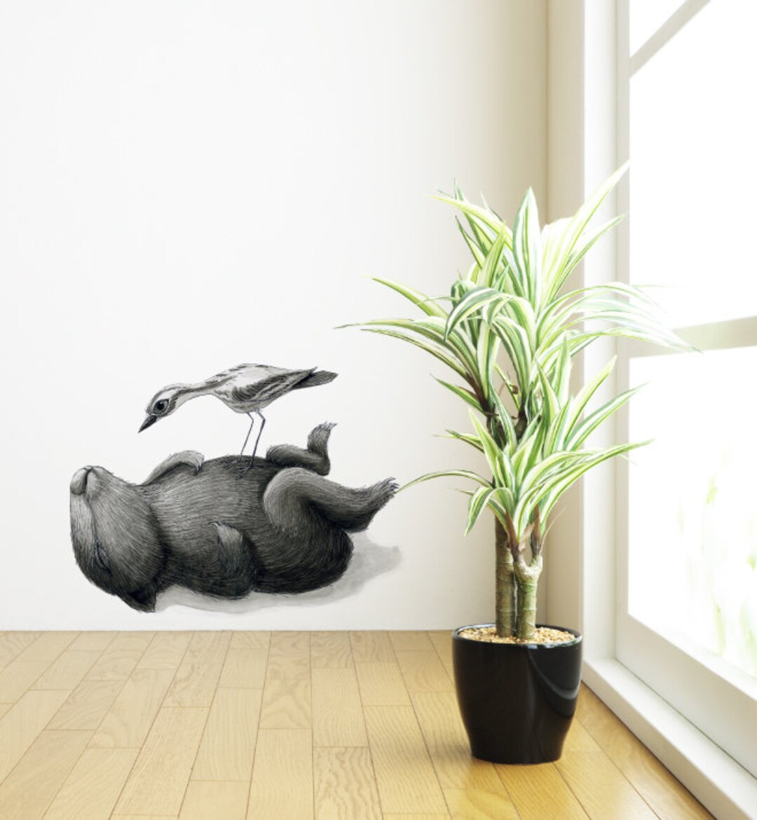 Wombat Curlew Wall Sticker Decal | Australian Animal Decals, Animal ...
