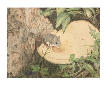 Mackenzie Mouse art print