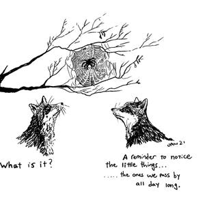 Pode incluir: Um desenho a tinta a preto e branco de dois guaxinins a olhar para uma aranha numa teia num ramo de árvore. O texto diz: What is it? A reminder to notice the little things... the ones we pass by all day long. Assinado JMW 21.