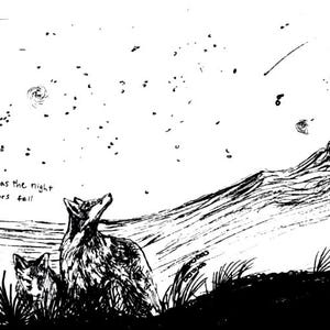May include: Black and white illustration of two foxes gazing up at a starry night sky with shooting stars and a mountain range. The text "This was the night Meteors fell" is written in the lower left corner.