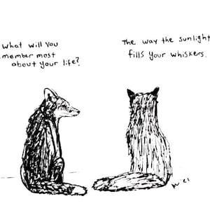 May include: Black and white illustration of two foxes. One fox is facing left, the other is facing away. Text above reads "What will you remember most about your life?" and "The way the sunlight fills your whiskers."
