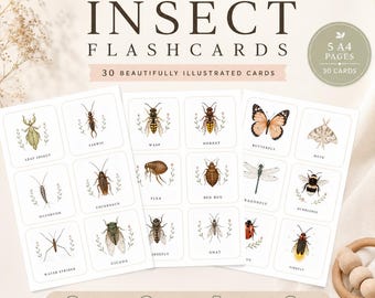 Insect Flashcards Printable | Montessori Nature Study Cards | 30 Insect Learning Cards | Homeschool Preschool Science Activity