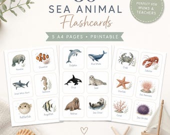 Sea Animal Flashcards Printable, Ocean Animal Flash Cards, Preschool Learning Activities, Montessori Cards, Homeschool Resource