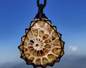 Fossiele ammoniethanger, nautilusketting, sieraden heilige geometrie, oceaannatuurcadeaus voor hem en haar, succes en voorspoedkristal