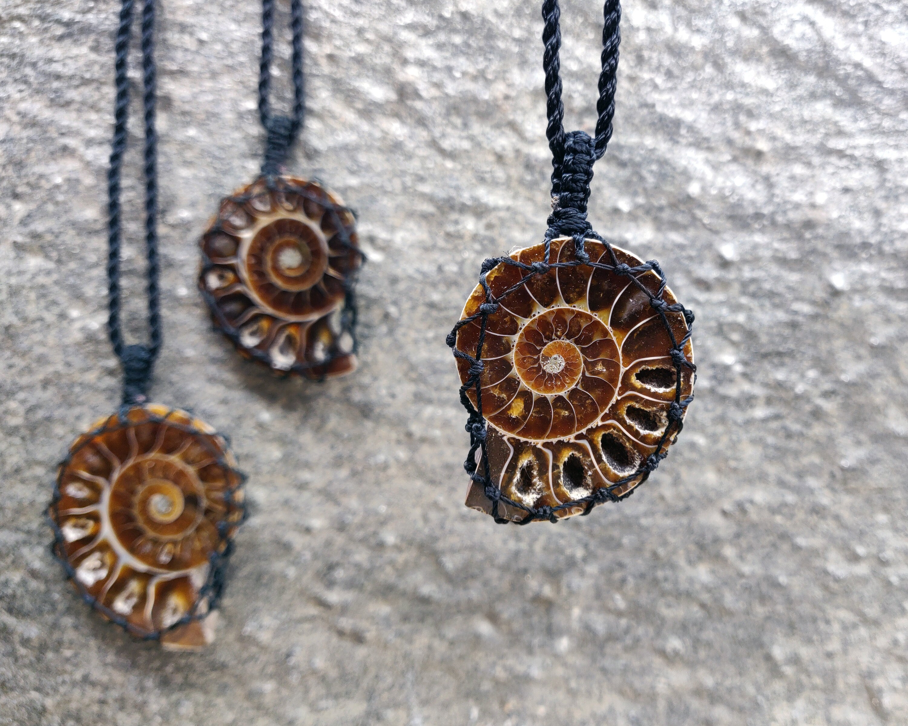 Ammonite Fossil Necklace Nautilus Shell Pendant Sacred Etsy