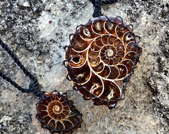 Ammonite Pendant, Ocean Jewelry, Nature Gifts, Nautilus Fossil Jewelry, Shell Necklace For Women / Men, Surfer Jewelry, Success & Prosperity