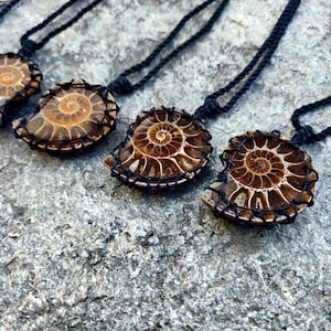 Ammonite Fossil Shell Jewelry,  Seashell Necklace, Beach Jewelry /  Beachy Necklace, Nature Jewelry, Surfer Ocean Gifts for Men and Women