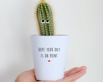 Cactus Growing Kit Etsy