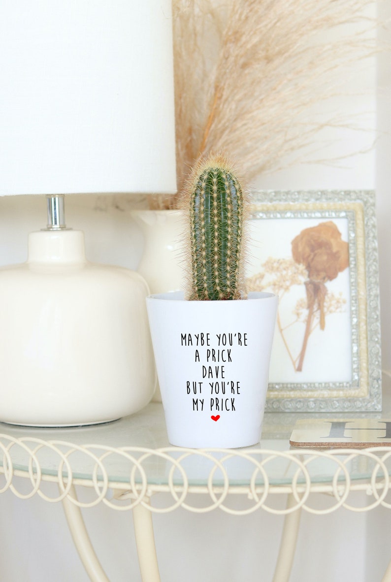 You're My Prick Funny Plant Pot House Plant Funny I Etsy