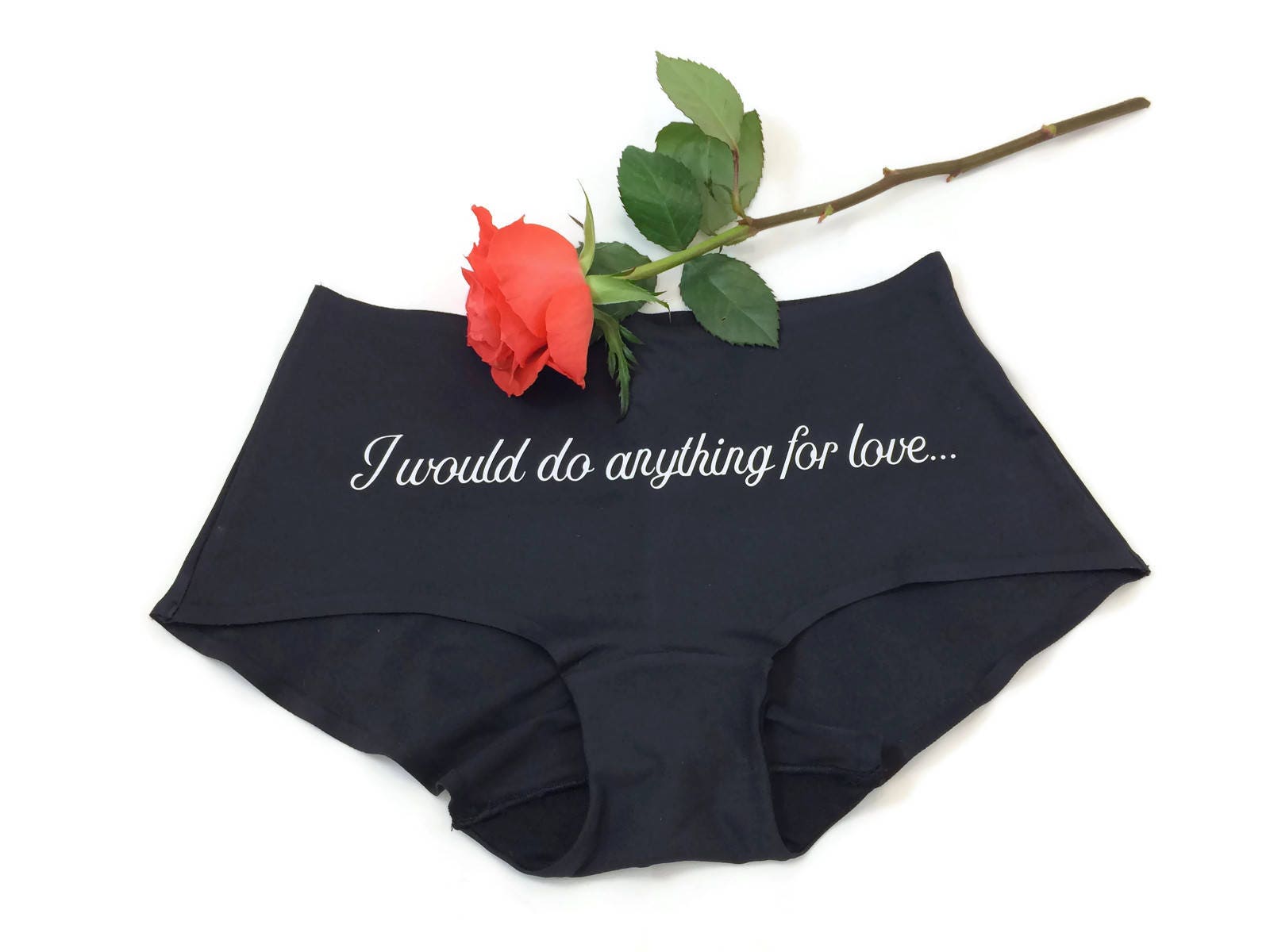 Meatloaf knickers funny ladies panties I would do anything Etsy