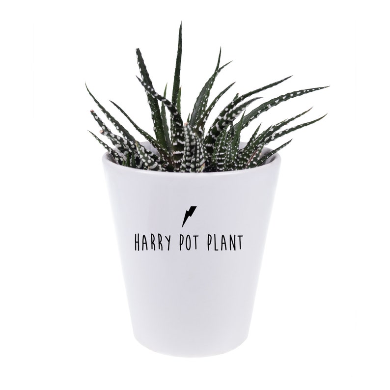 Harry Pot Plant Cute Pun Gift Funny Geek Gift Houseplant