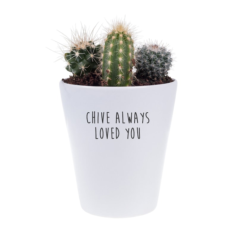 Grown Your Own Kit Funny Pun Plant Pot Chive Always Loved You