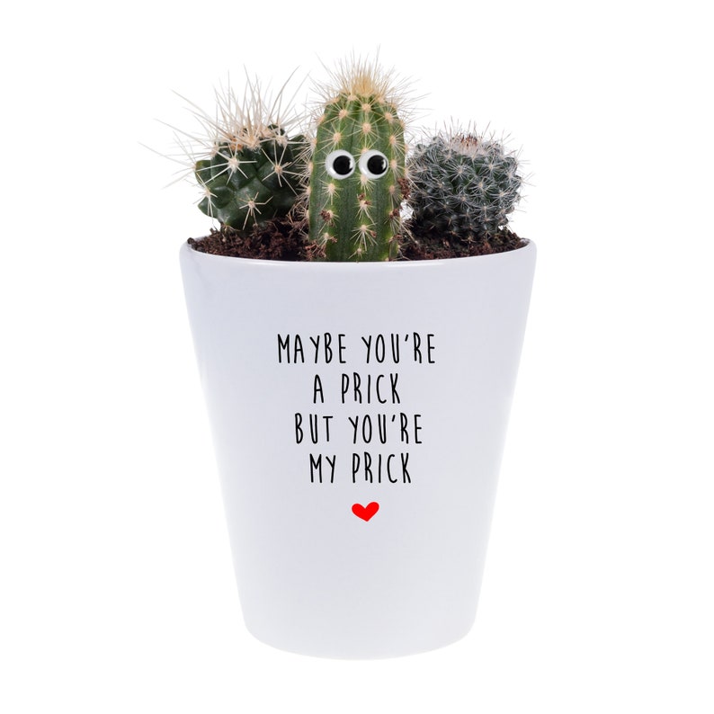 You're My Prick Funny Plant Pot House Plant Funny I Etsy