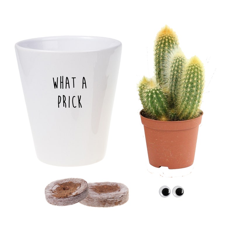 What A Prick Funny Cactus Plant Pot Naughty Gifts Grow | Etsy