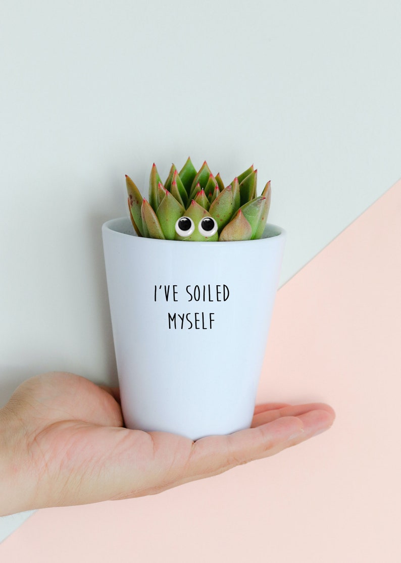 I�ve Soiled Myself Funny Plant Pot Plant Pun Gift Etsy