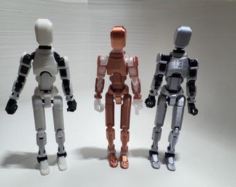 Dummy 13 3d printed. Fully assembled with accessories. Add-on case with customizable name