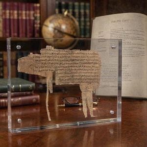 Réplica del papiro 48 del Libro de los Hechos del Siglo III / ¡Conspiración para matar a Pablo! Expositor flotante transparente de 5x7 pulgadas.