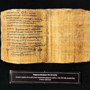 May include: A rectangular piece of aged papyrus with ancient Greek text, featuring black ink inscriptions. The papyrus is a replica of the Papyrus Bodmer VII-IX, dating from c. AD 175-225. A black sign below the papyrus provides additional information.