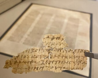 Papyrus 24  Replica-Rev 6:5 Black Horse and Scales