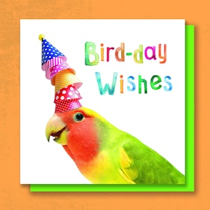 ¡Alegre tarjeta de celebración de CUMPLEAÑOS DE LORO, adecuada para cualquier persona!