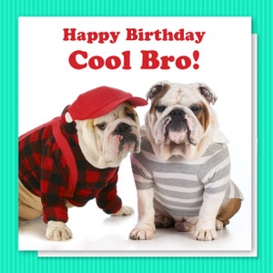 Feliz ANIVERSÁRIO para um IRMÃO legal desses fabulosos buldogues
