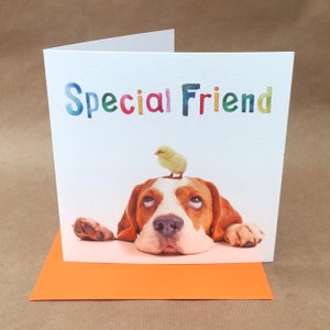 Luchtige dog and chicklet VERJAARDAG- of GREETINGS-kaart voor een speciale vriend(in)