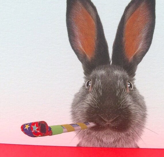 Humour Super Mignon Lapin Pret A Faire La Fete Birthday Card Etsy France