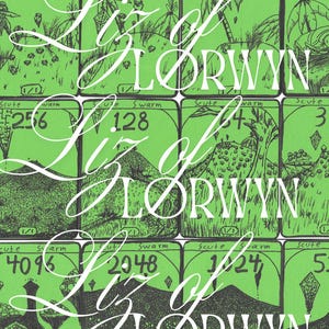 May include: A green and black artwork with multiple rectangular panels, each containing illustrations and numbers. The text "Liz of Lorwyn" is written in a white, stylized font. The panels feature drawings of landscapes and creatures.