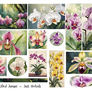 Exotic Orchid Ephemera: Floral Collage Embellishments (Digital Download)