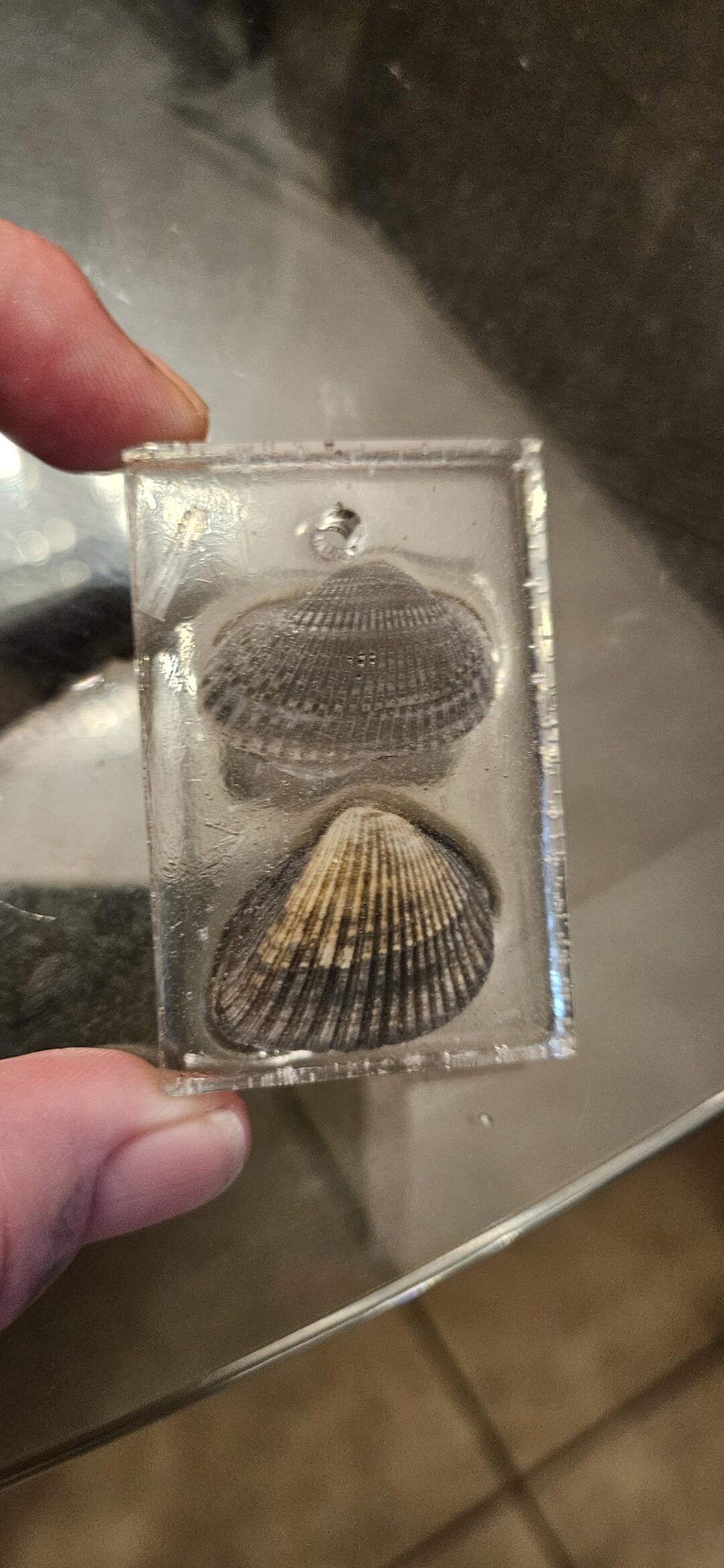 Shell Abalone Selenite Key Ring Pendant - Etsy