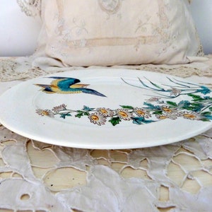 Pode incluir: Um prato de cer&acirc;mica branco com um p&aacute;ssaro azul e amarelo voando sobre um ramo de flores brancas com folhas verdes.