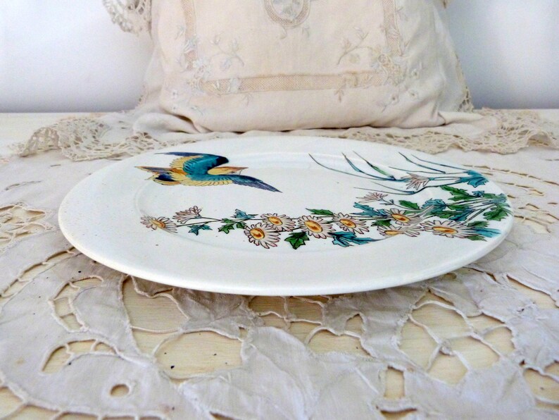Pode incluir: Um prato de cer&acirc;mica branco com um p&aacute;ssaro azul e amarelo voando sobre um ramo de flores brancas com folhas verdes.