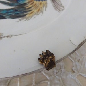 May include: A gold-colored metal paw print ornament with a textured surface.