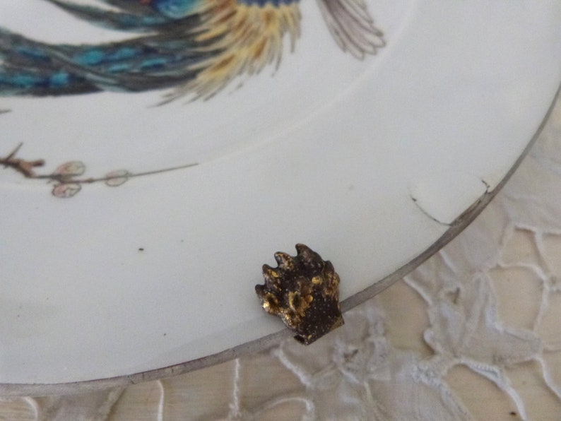 May include: A gold-colored metal paw print ornament with a textured surface.