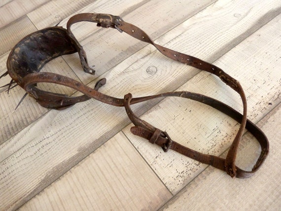 Hunting dog top collars and leashes