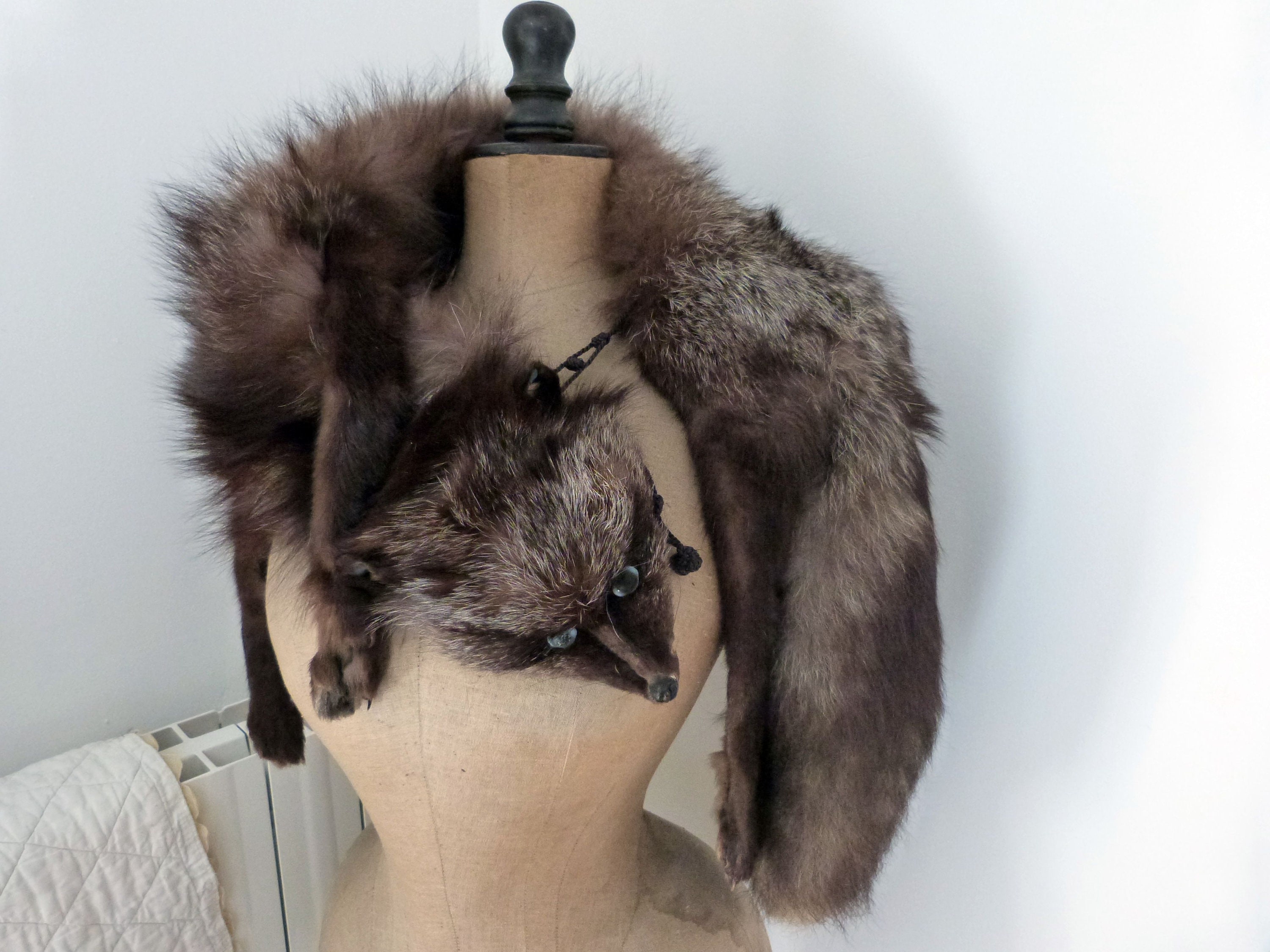 Antique fox hotsell stole
