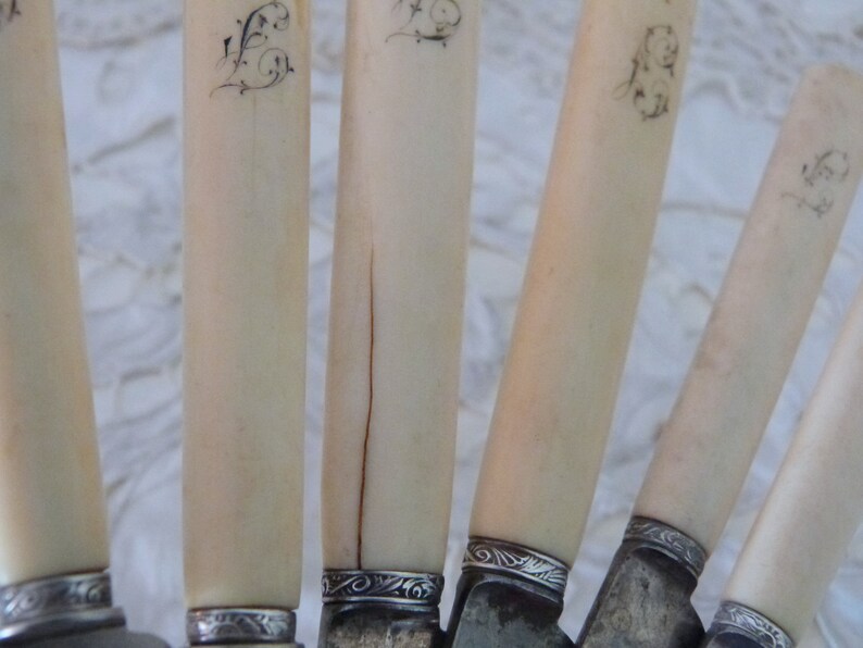 6 Boxed Antique French Monogrammed Bone Knives Diner Cheese Etsy