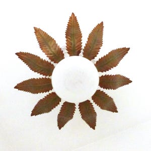 Star burst antique French tole metal sunburst starburst lighting gilded sun burst chandelier hanging ceiling light lamp sconce w glass shade