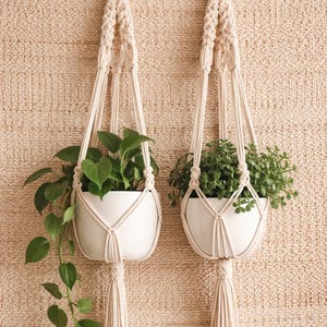 Puede incluir: Dos colgadores de plantas de macramé con macetas de cerámica blancas, cada una llena de vegetación. Los colgadores blanquecinos tienen anillos de madera en la parte superior y borlas en la parte inferior. El fondo es una pared texturizada de tonos neutros.