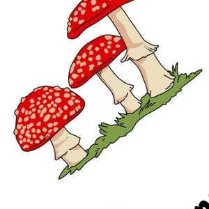 May include: Illustration of three red and white spotted mushrooms with beige stems and green grass. The mushrooms are in a whimsical, cartoon style, set against a white background. The image is a playful depiction of nature.