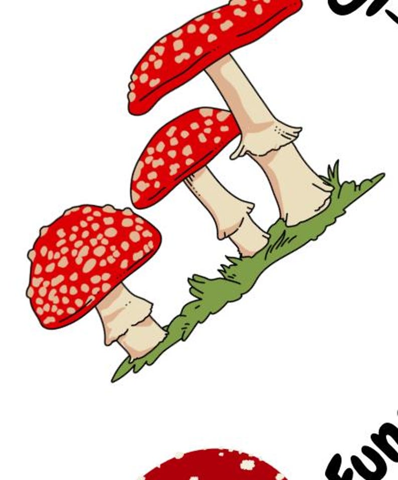 May include: Illustration of three red and white spotted mushrooms with beige stems and green grass. The mushrooms are in a whimsical, cartoon style, set against a white background. The image is a playful depiction of nature.
